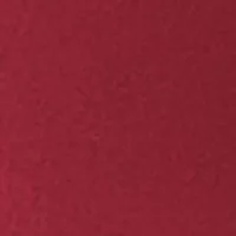 South Carolina Gamecocks NCAA South Carolina Flipside Powder Coat Coolie