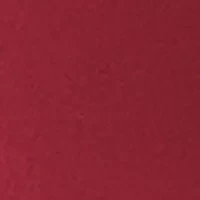 South Carolina Gamecocks NCAA South Carolina Flipside Powder Coat Coolie