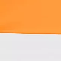 NCAA Tennessee Volunteers 9 ft x 9 ft Economy Tent