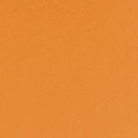 Tennessee Volunteers NCAA Tennessee 16oz Flipside Powder Coat Curved Beverage