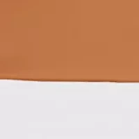 NCAA Texas Longhorns 9 ft x 9 ft Economy Tent
