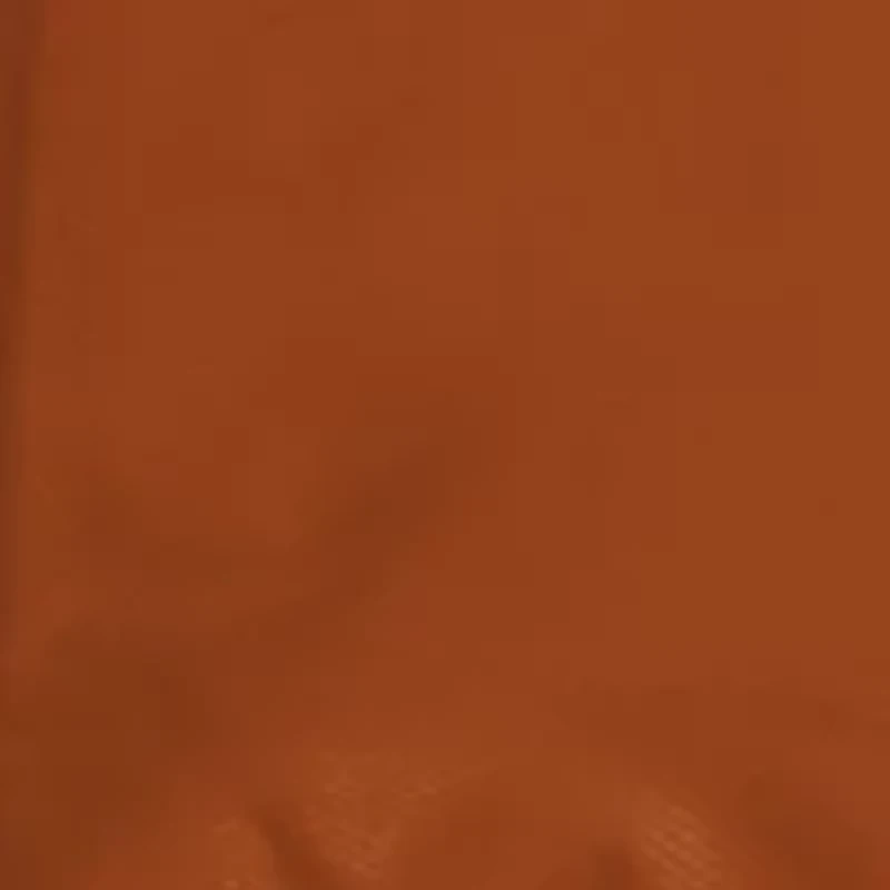 Texas Longhorns NCAA Texas Stadium Seat