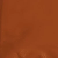 Texas Longhorns NCAA Texas Stadium Seat