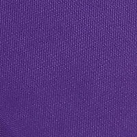 Washington Huskies NCAA Washington Bleacher Cushion