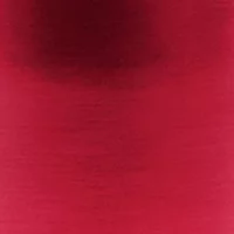 Wisconsin Badgers NCAA Wisconsin 30oz Gameday Stainless Tumbler