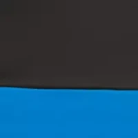 NFL Carolina Panthers 108 in x 108 in x 108 in Economy Tent