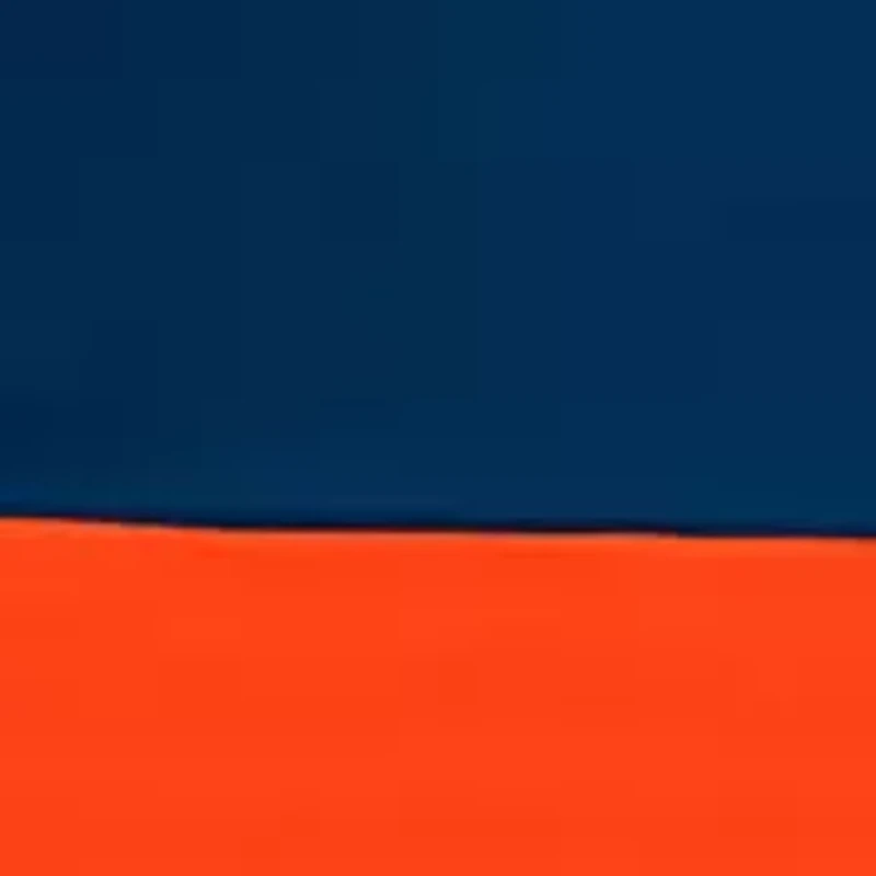 NFL Chicago Bears 108 in x 108 in x 108 in  Economy Tent