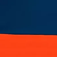 NFL Chicago Bears 108 in x 108 in x 108 in  Economy Tent