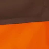 NFL Cleveland Browns Elite Chair