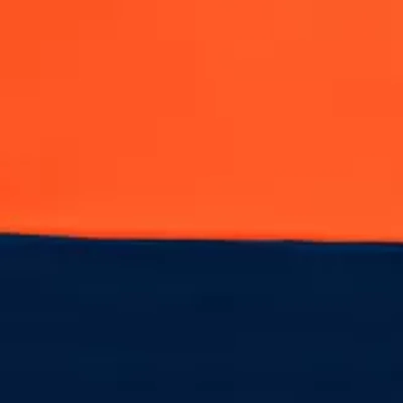 NFL Denver Broncos 108 in x 108 in x 108 in Economy Tent