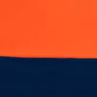 NFL Denver Broncos  108 in x 108 in x 108 in Economy Tent