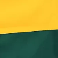 NFL Green Bay Packers Elite Chair