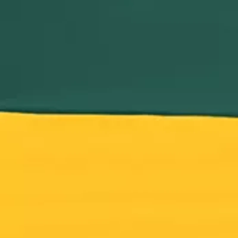  NFL Green Bay Packers 108 in x 108 in x 108 in Economy Tent 