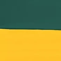  NFL Green Bay Packers 108 in x 108 in x 108 in Economy Tent 