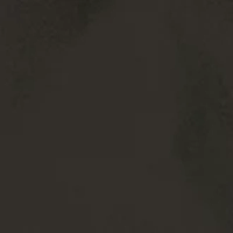 NFL Oakland Raiders Quad Chair