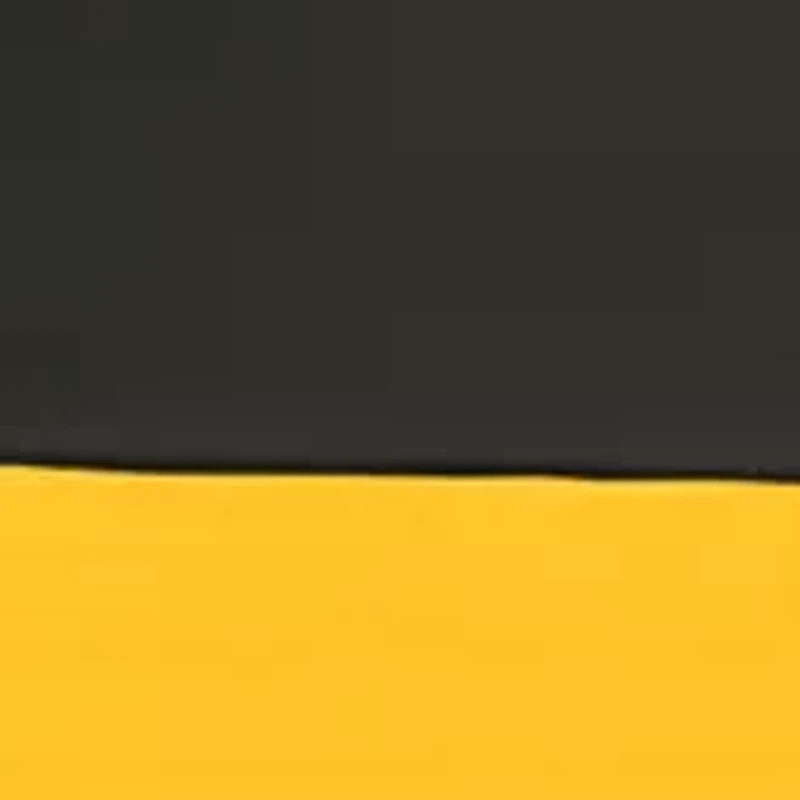 NFL Pittsburgh Steelers 108 in x 108 in x 108 in Economy Tent