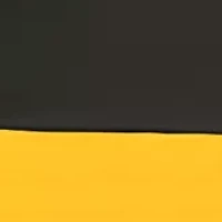 NFL Pittsburgh Steelers 108 in x 108 in x 108 in Economy Tent