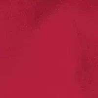 NFL San Francisco 49ers Quad Chair