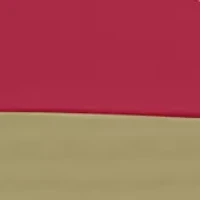 NFL San Francisco 49ers 108 in x 108 in x 108 in Checkerboard Tent