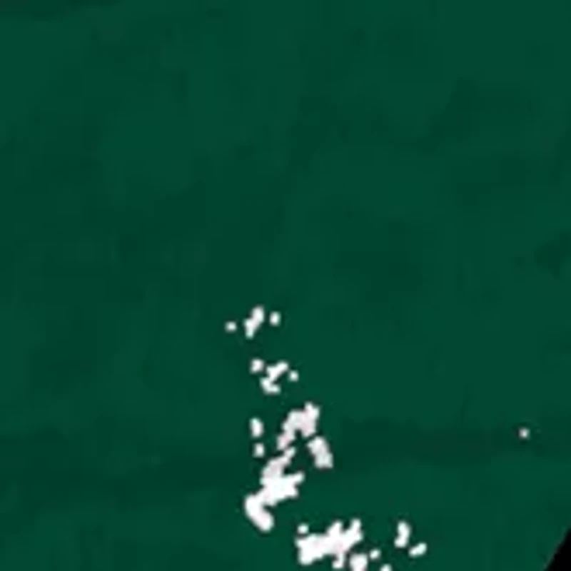 NCAA Baylor Bears Distressed Round Sign