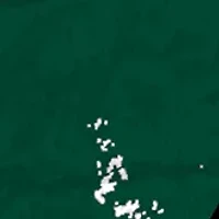 NCAA Baylor Bears Distressed Round Sign