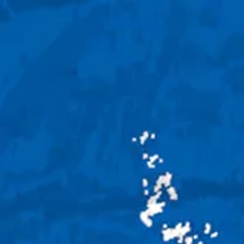 NCAA Boise State Broncos Distressed Round Sign