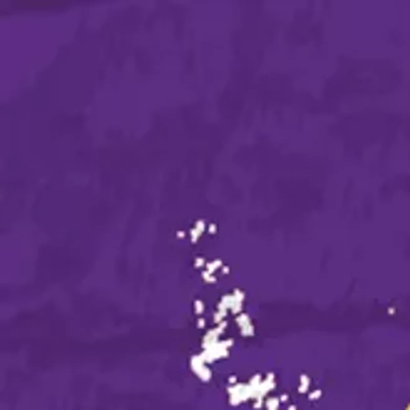 NCAA East Carolina Pirates Distressed Round Sign