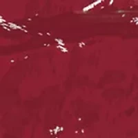 NCAA Florida State Distressed Round Sign