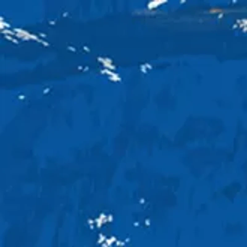 NCAA Florida Gators Distressed Round Sign