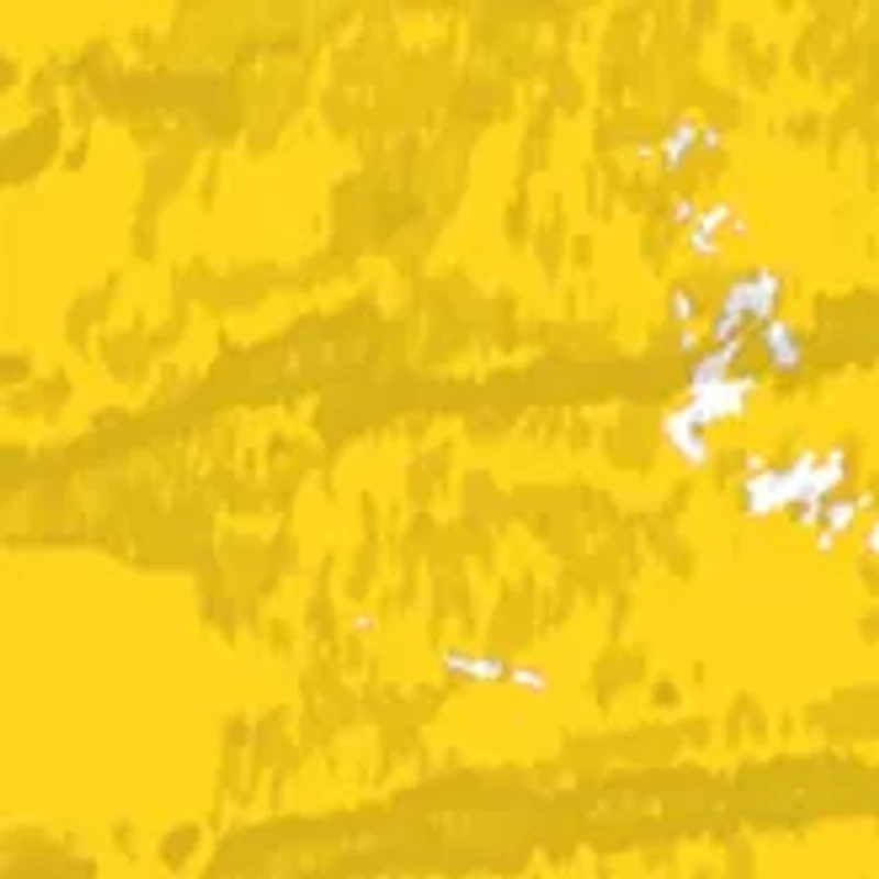 NCAA Iowa Hawkeyes Distressed Round Sign