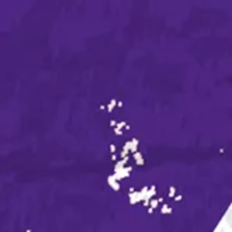 NCAA Kansas State Wildcats Distressed Round Sign