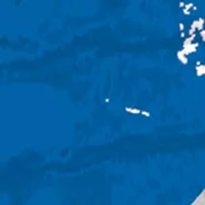 NCAA Middle Tennessee Blue Raiders Distressed Round Sign