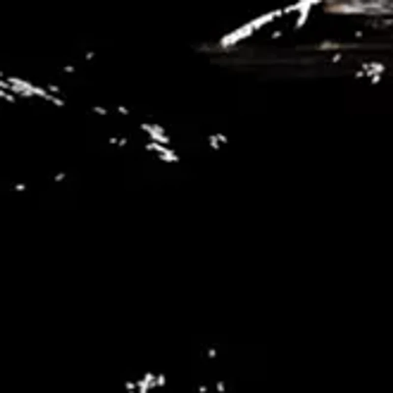 NCAA Missouri Tigers Distressed Round Sign