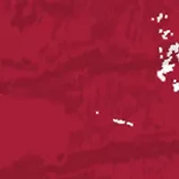 NCAA Washington State Cougars Distressed Round Sign