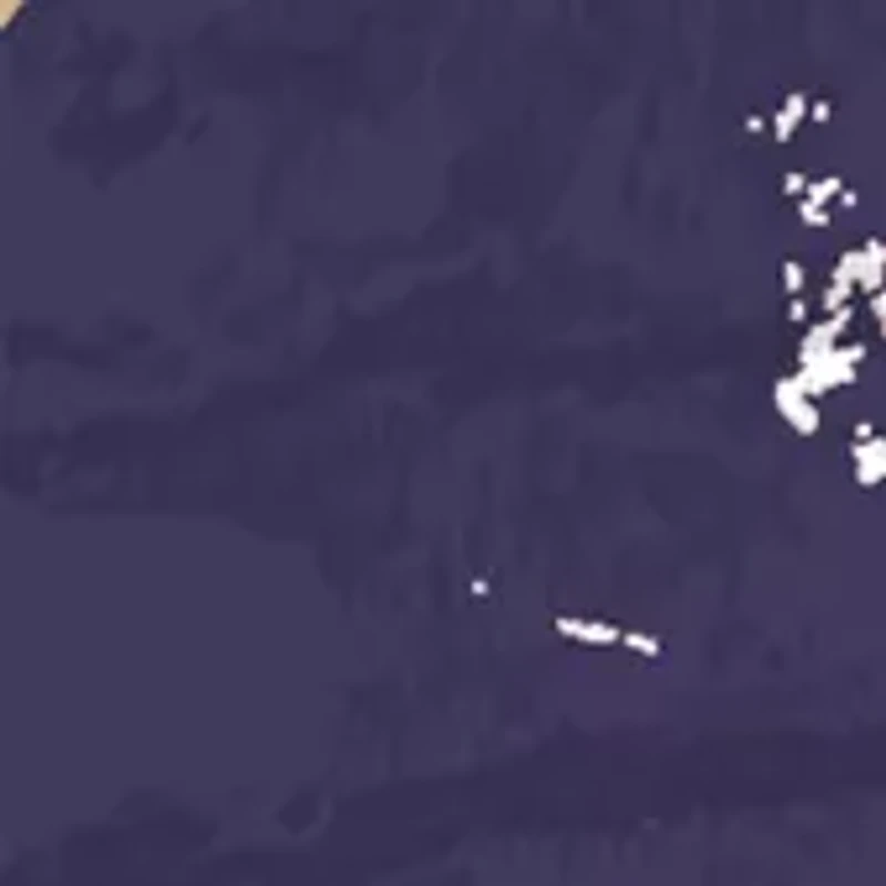 NCAA Washington Huskies  Distressed Round Sign