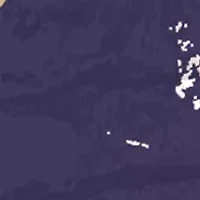 NCAA Washington Huskies  Distressed Round Sign