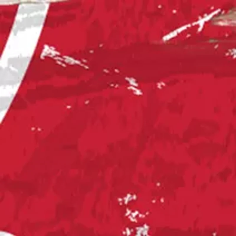 NCAA University of Wisconsin Badgers Distressed Round Sign