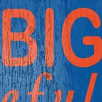 NCAA University of Florida Gators In This House Sign