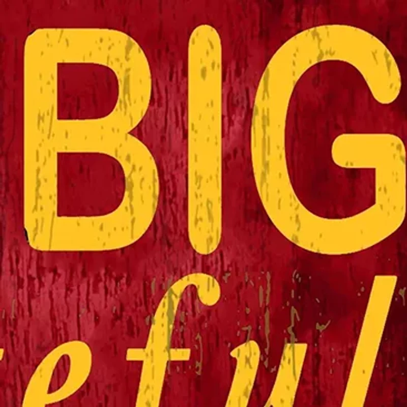 NCAA Iowa State Sycamores In This House Sign