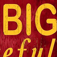 NCAA Iowa State Sycamores In This House Sign