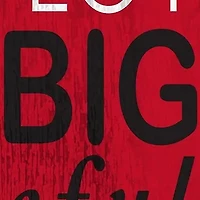 NCAA Louisville Cardinals In This House Sign