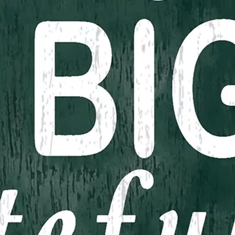 NCAA Michigan State Spartans In This House Sign