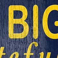 NCAA University of Michigan Wolverines In This House Sign