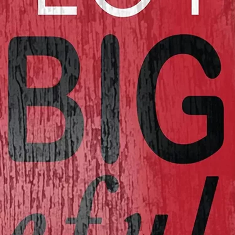 NCAA Ohio State University Buckeyes In This House Sign