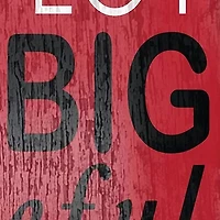 NCAA Ohio State University Buckeyes In This House Sign