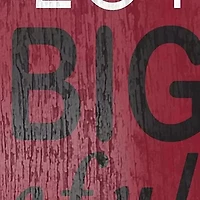NCAA South Carolina Gamecocks In This House Sign
