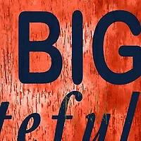 NCAA Syracuse Orange In This House Sign