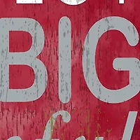 NCAA Washington State Cougars In This House Sign