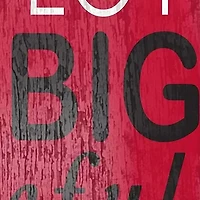 NCAA University of Wisconsin Badgers In This House Sign