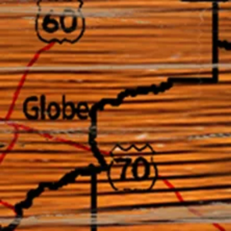 NCAA Arizona State Sun Devils Distressed State with Logo